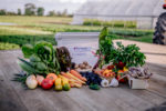 How To Find A CSA In Your Area | Shared Legacy Farms