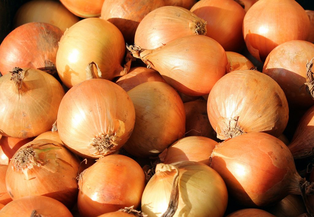 The Six Basic Types Of Onions Shared Legacy Farms