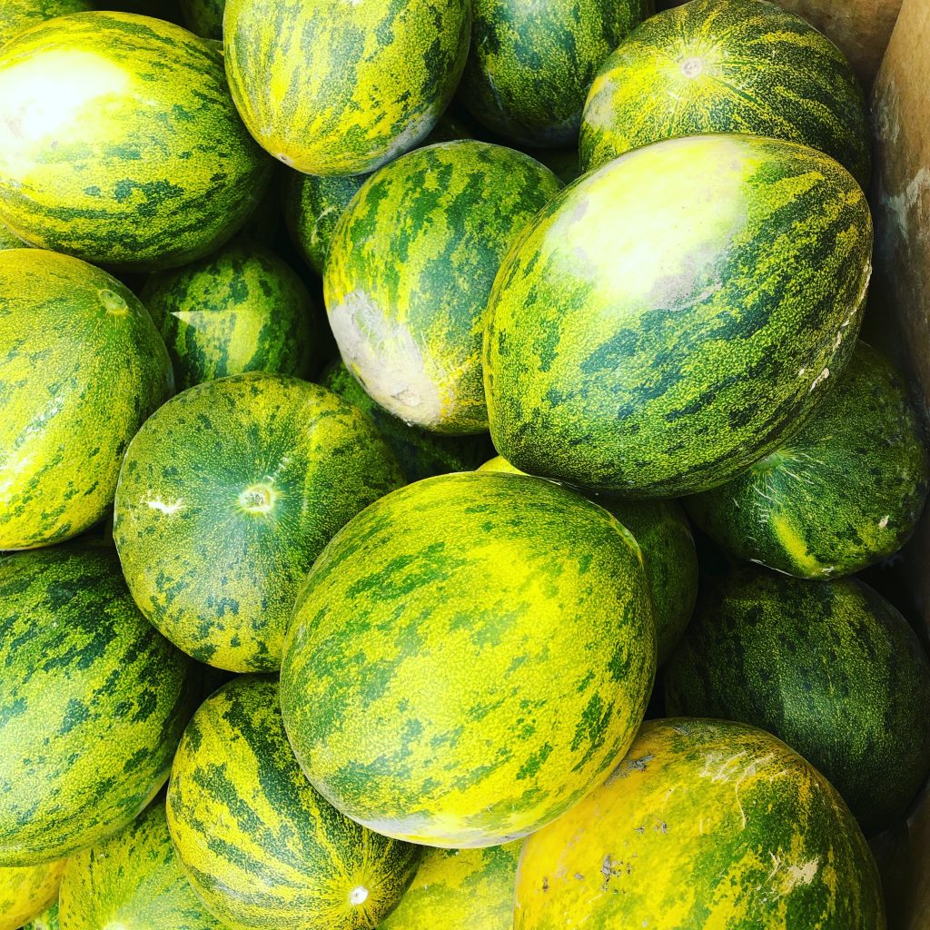 Gallia melon