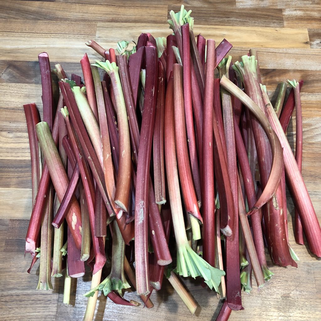 rhubarb