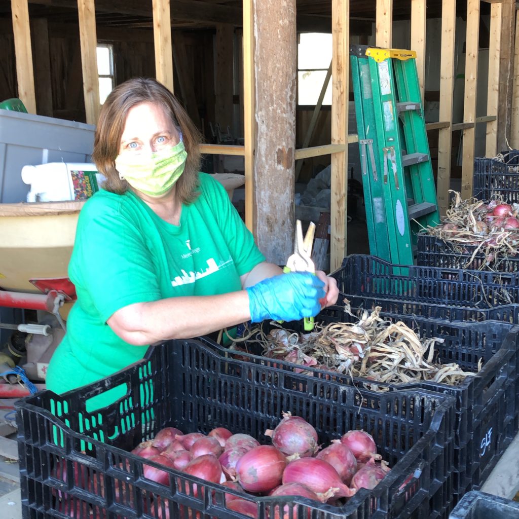 cleaning onions