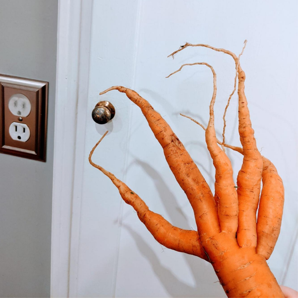 carrot hands