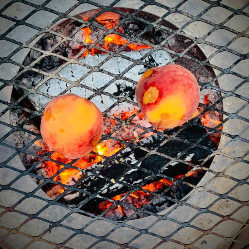 grilled peaches