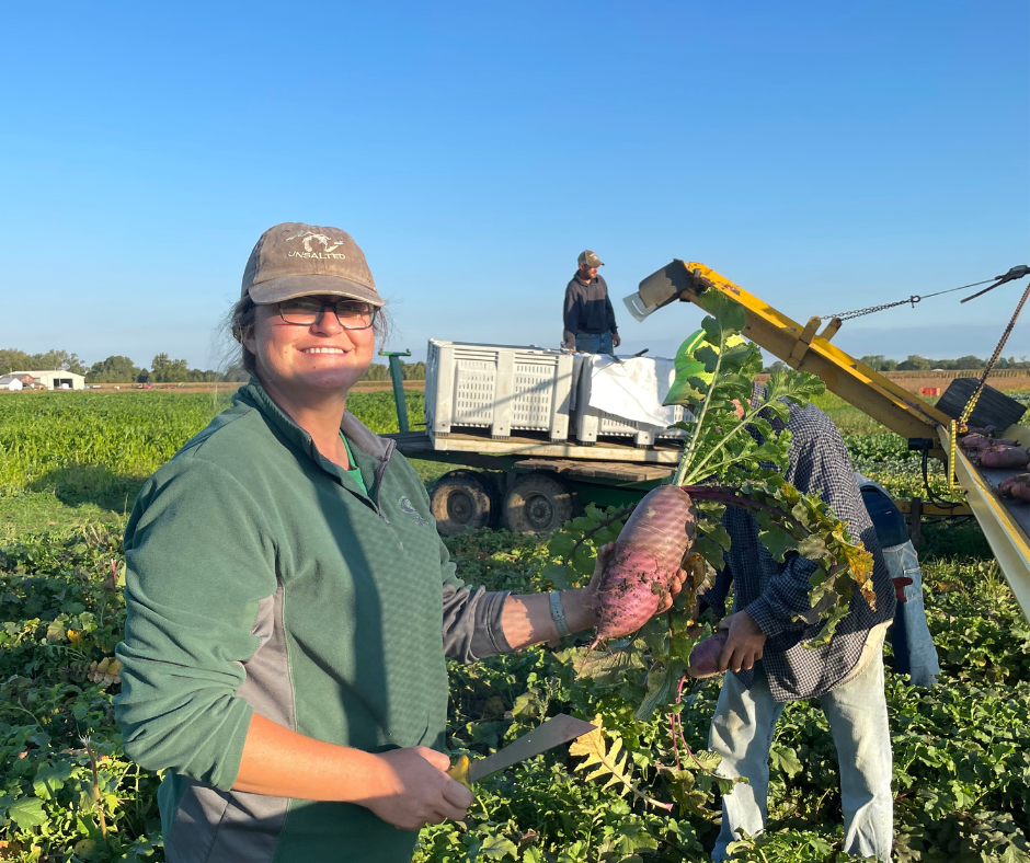 harvest daikon