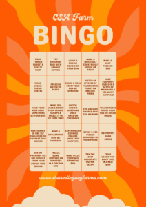 CSA Bingo Board