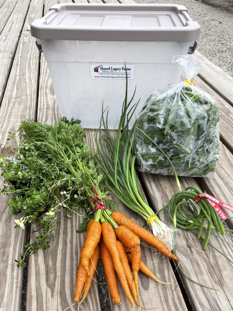 week one csa box