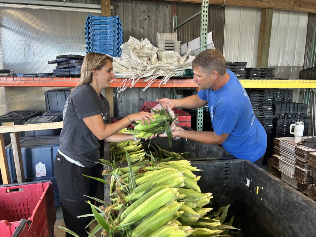 smolenskis bagging corn