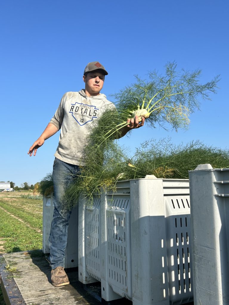 Noah catches fennel