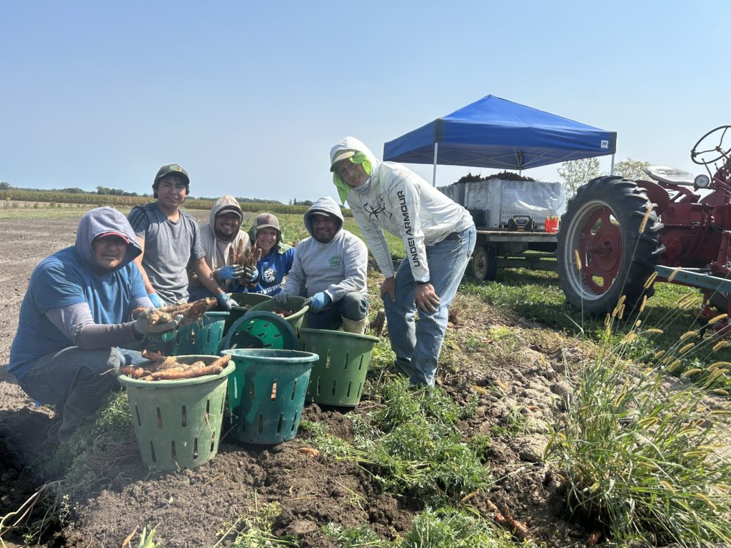 crew with carrots